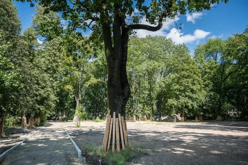 Bronowice Lublin – dzielnica z historią i własnym klimatem