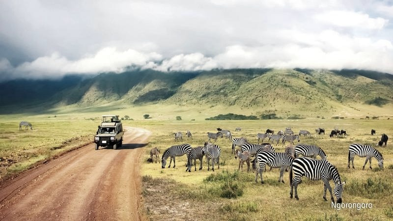 Tanzania: safari i Zanzibar bez błędów – jak zaplanować idealną trasę?