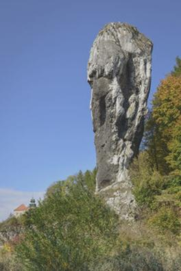 Ostaniec skalny