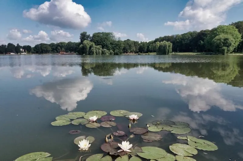 Plaża miejska Nowa Huta